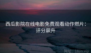 西瓜影院在线电影免费观看动作燃片：评分飙升