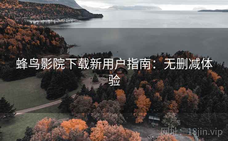 蜂鸟影院下载新用户指南：无删减体验