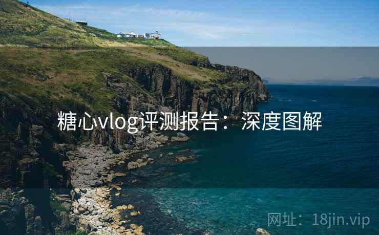 糖心vlog评测报告：深度图解