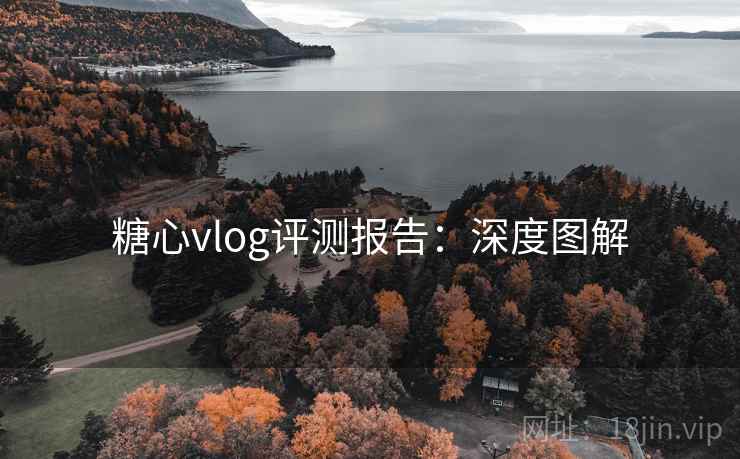 糖心vlog评测报告：深度图解